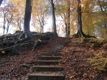 Wegberg-Arsbeck : Motte Alde Berg